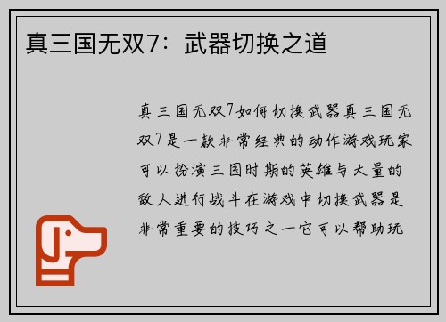 真三国无双7：武器切换之道